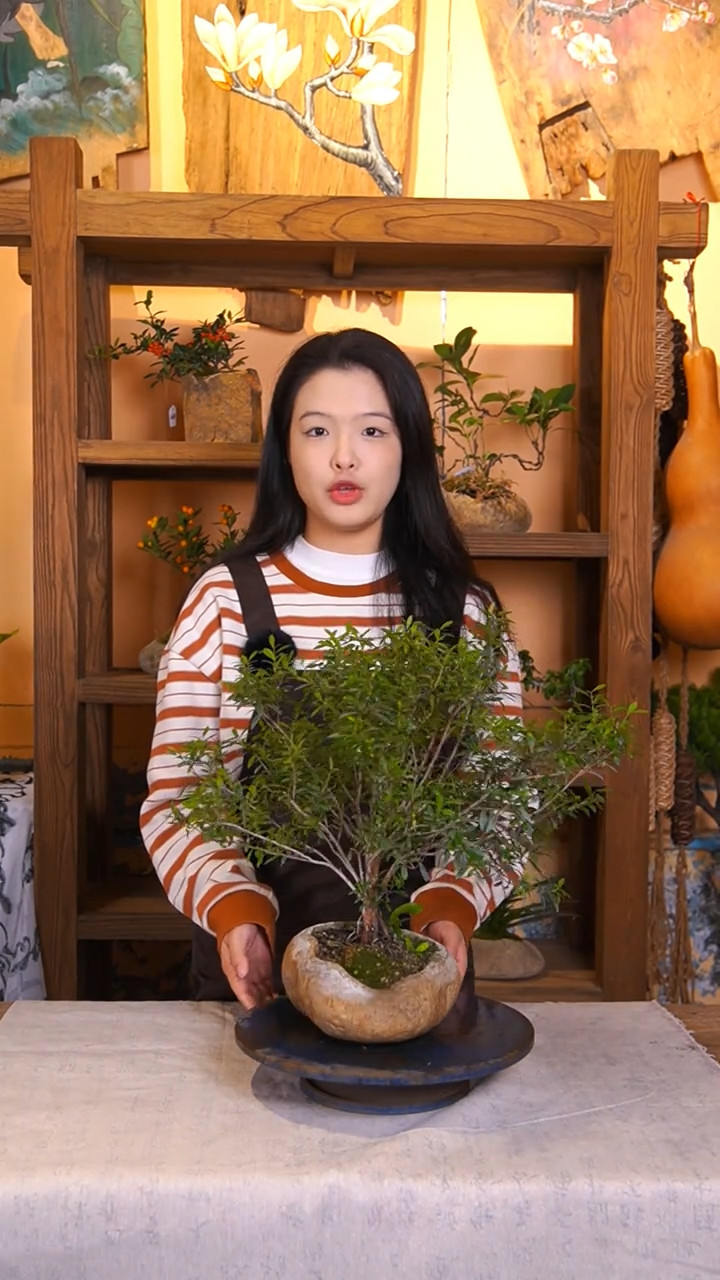 绿植行业案例视频 1