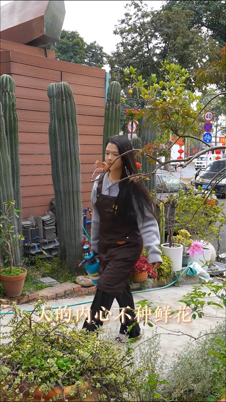 绿植行业案例视频 2