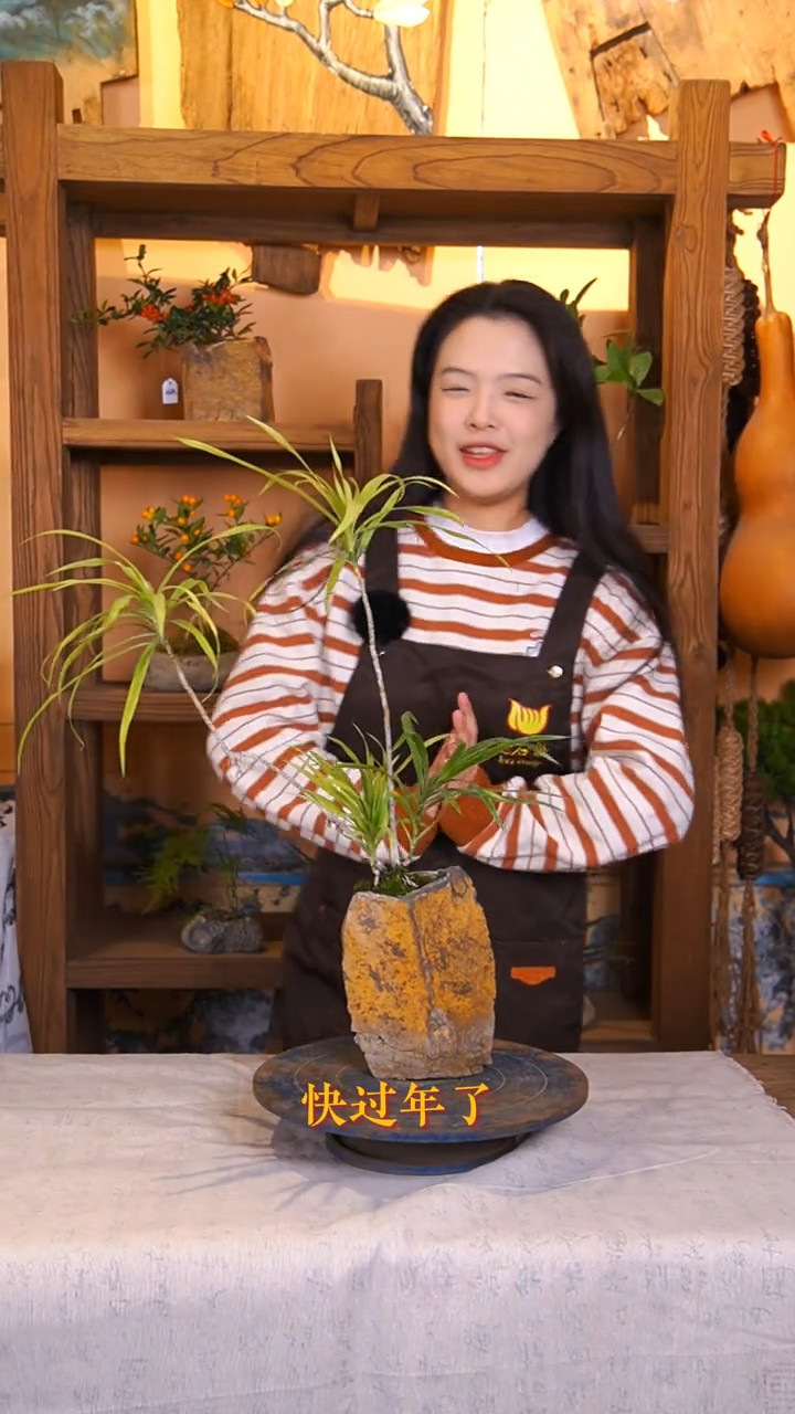 绿植行业案例视频 5